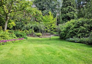 Optimiser l'expérience du jardin à Latrecey-Ormoy-sur-Aube