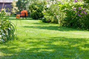 travaux jardin et paysage Latrecey-Ormoy-sur-Aube